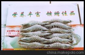 【南美對蝦(圖)】價格,廠家,圖片,蝦類,湛江市霞山區鑫昌水產品貿易-
